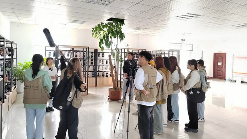 高端品牌设计：整套方案定制的核心要素